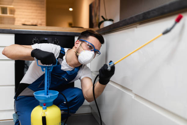 Best Local Pest Control Services  in Sho Creek, AL