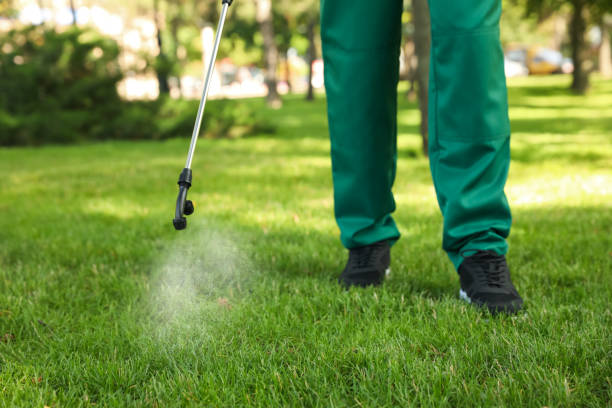 Best Affordable Pest Control Services  in Sho Creek, AL