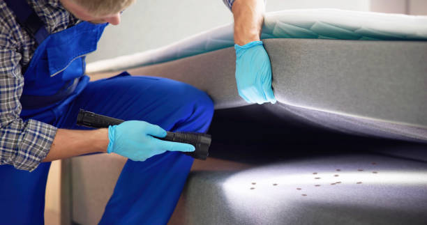 Best Best Pest Control Companies  in Sho Creek, AL